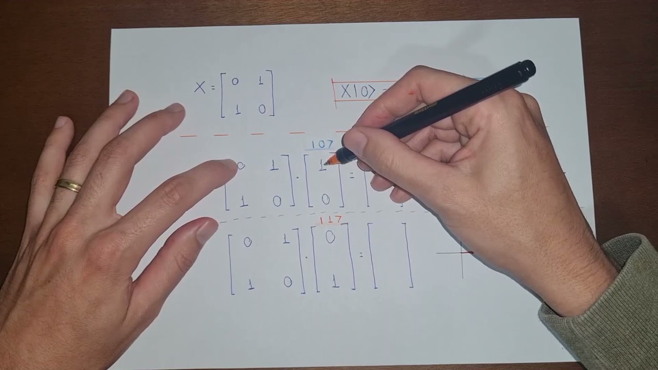 Computação Quântica: Entenda a Porta NOT (X) na IBM Quantum 🔍