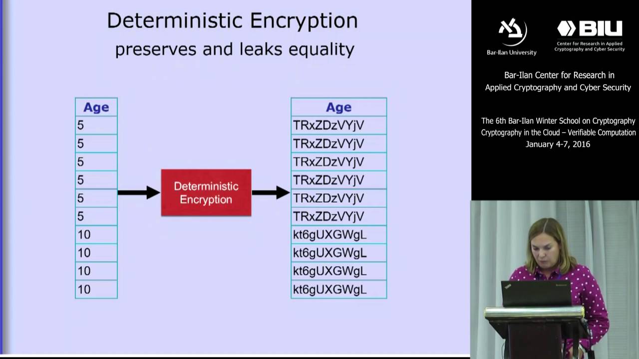 Exploring Statistical Attacks on Deterministic & Order-Preserving Encryption 🔐
