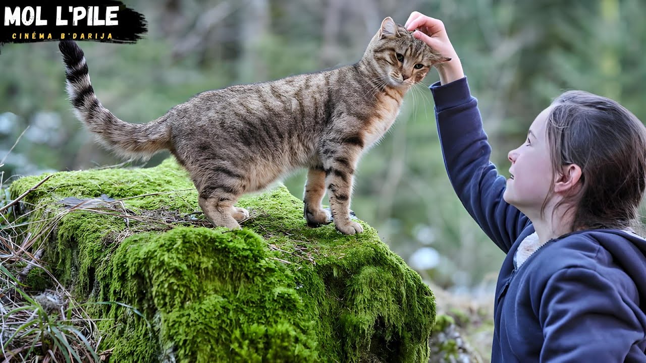 فتاة تتبنى قطة تغير حياتها 🐱
