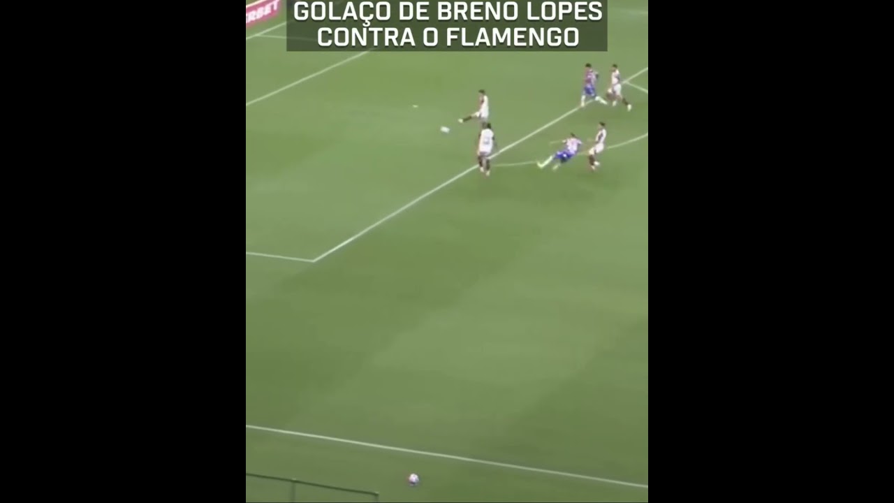 Fortaleza Wins 1-0 Against Flamengo in Brasileirão Thriller ⚽