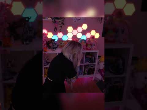 Glaube die will Stress! 😂