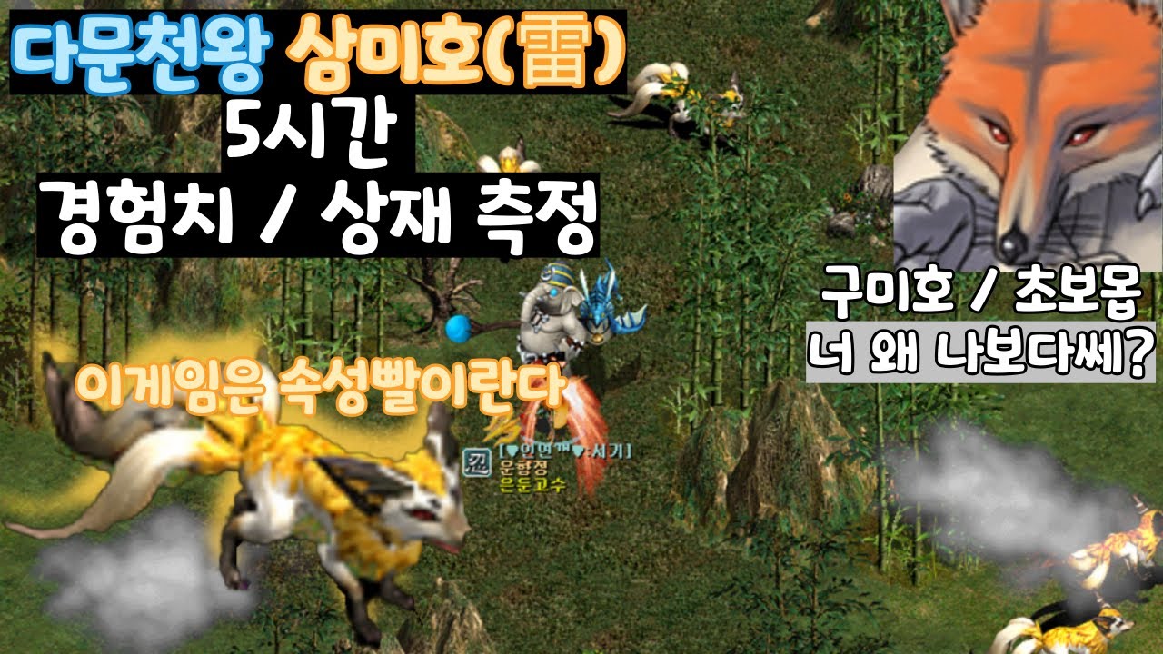 거상) 다문천왕 삼미호 5시간 경험치 & 상재 측정 🎮