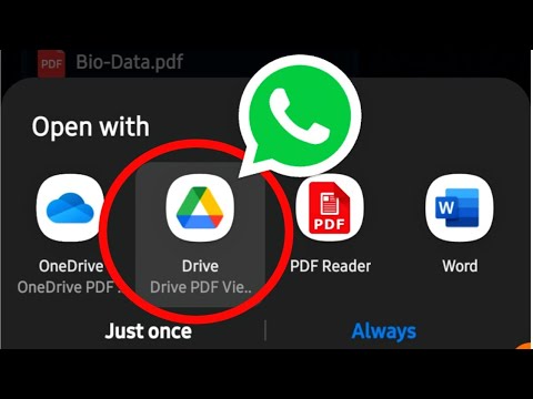 Whatsapp Pdf Not Opening In Google Drive Problem Solution