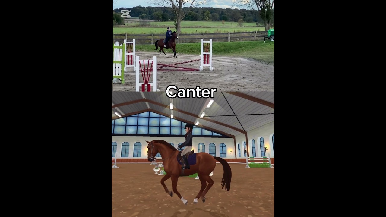 Sso vs. IRL Hanoverian Gaits 🐴