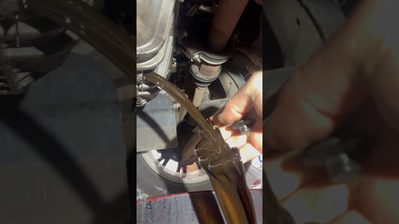 How to Easily Change the Oil in Your Ford Focus 🚗