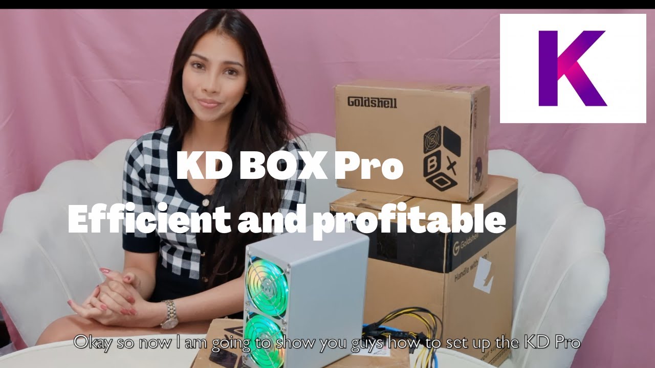 Goldshell KD Box Pro: Kadena Home ASIC Miner Review