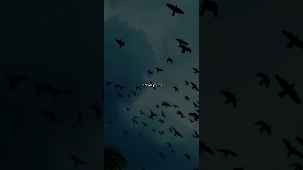 Forever Young - Alphaville Lyrics 🎶