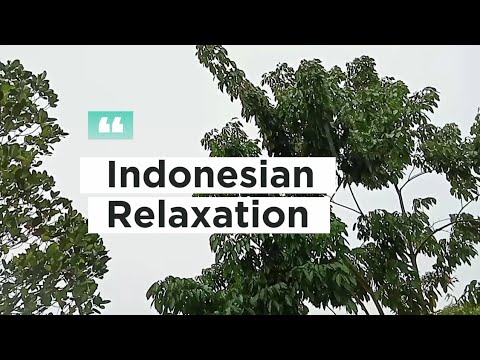 180 Relaxing Rainstorm Sounds for Instant Sleep 🌧️