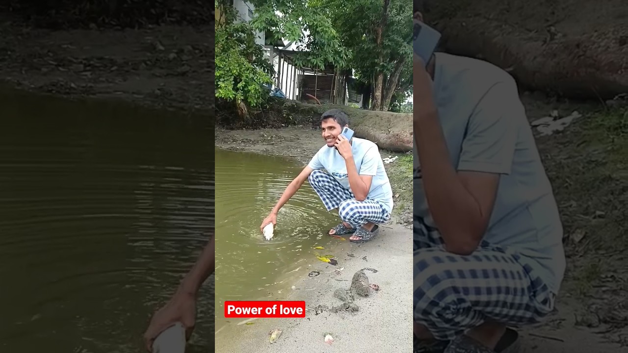 The Power of Love 😂