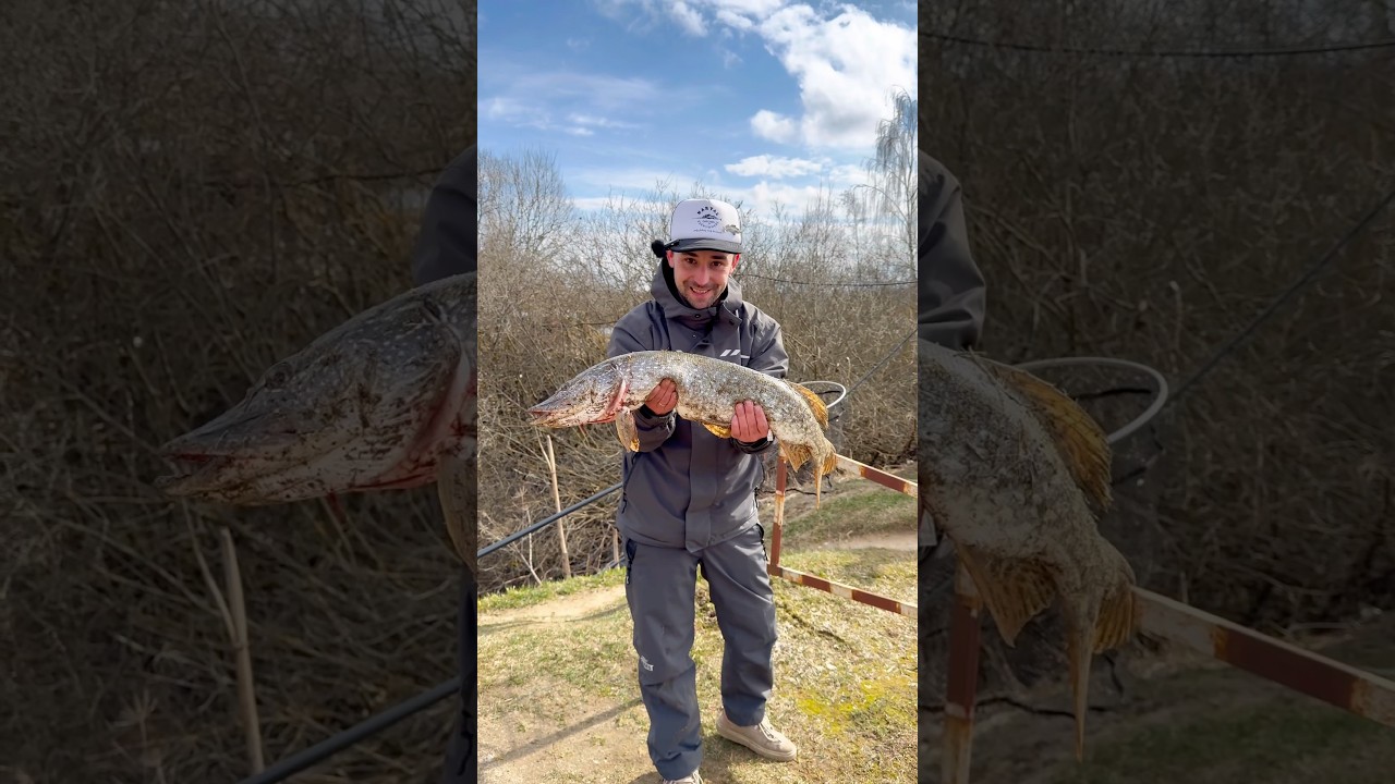 Гарантированная проводка для успешной ловли щуки 🎣