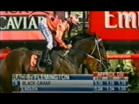 2012/2013 Season (5/8) Magic Millions Day - Australian Guineas
