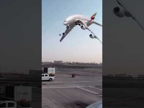 Jet2 holiday in Floptropica