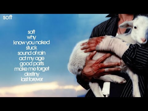 LANY - Soft Album Lyrics Playlist 🎶