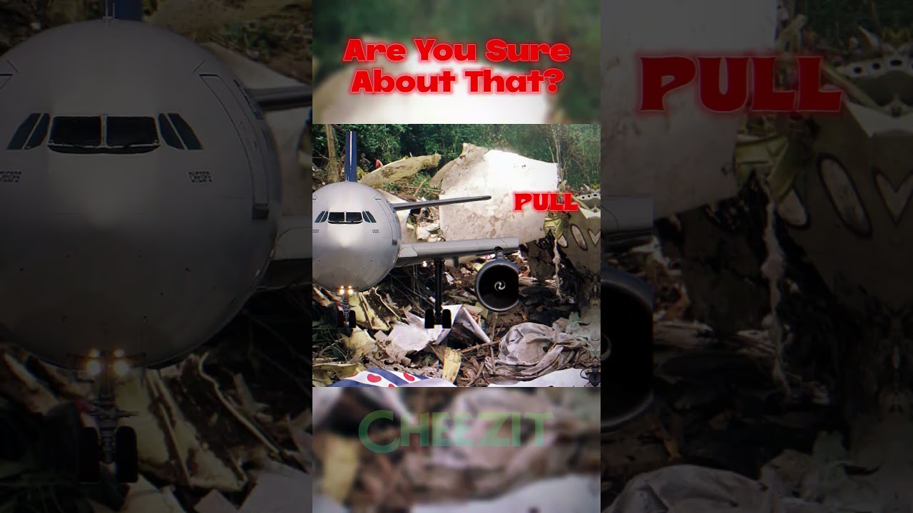 Planes Can't Talk ✈️ #shorts