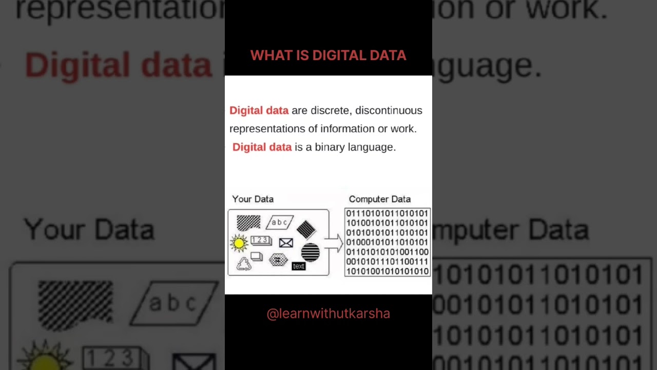 Understanding Digital Data 📊
