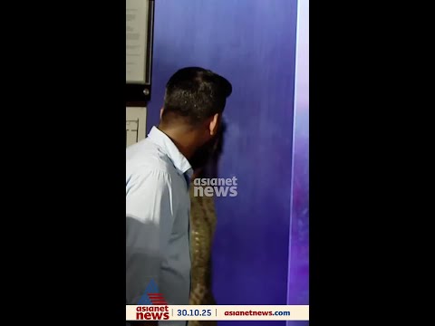 മോഹൻലാലിന്റെ മകൾ വിസ്മയയുടെ ആദ്യ സിനിമയുടെ പൂജ കൊച്ചിയിൽ, കുടുംബവുമായി എത്തി മോഹൻലാൽ