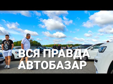 НА ЧЕМ ездят украинцы? Самые популярные авто Киевского автобазара — свежий обзор