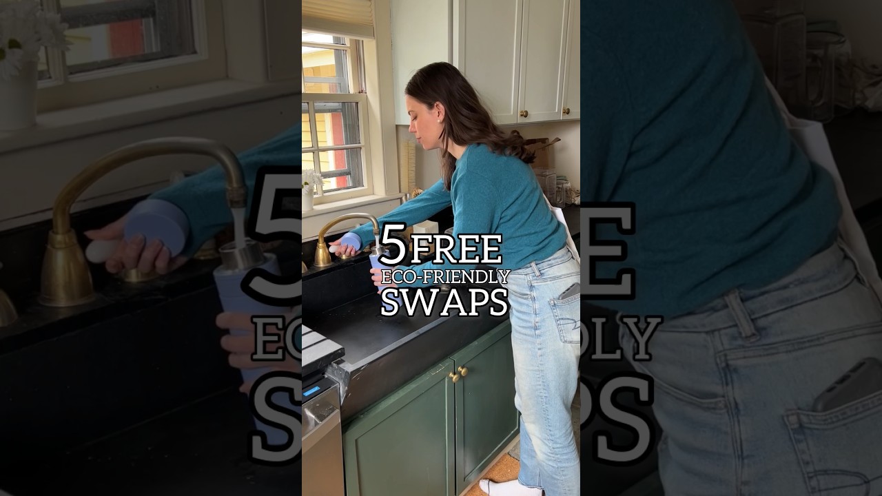 5 Free Eco-Friendly Swaps | Part 3 #Shorts
