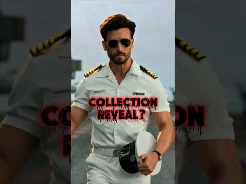 Baaghi 4 Total Collection | Hit or Flop?