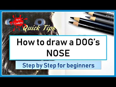 ⭐How to draw a DOG's NOSE step by step- colour pencil TUTORIAL for beginners
