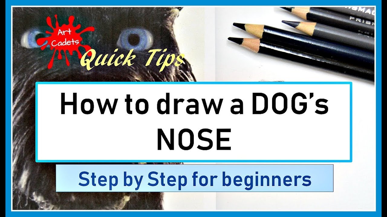 Step-by-Step Guide to Drawing a Dog's Nose with Colour Pencils for Beginners
