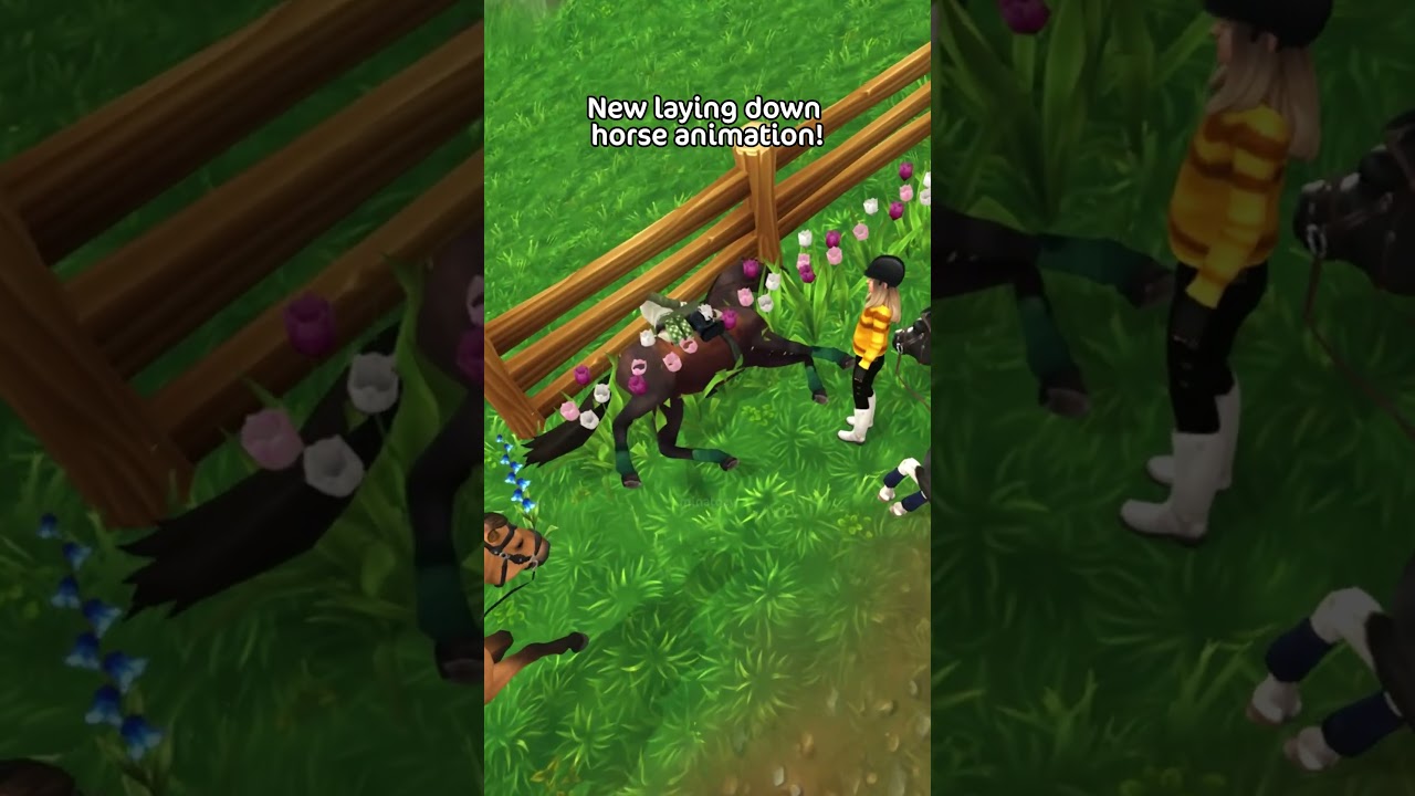 New Horse Animations in Star Stable! 🐴
