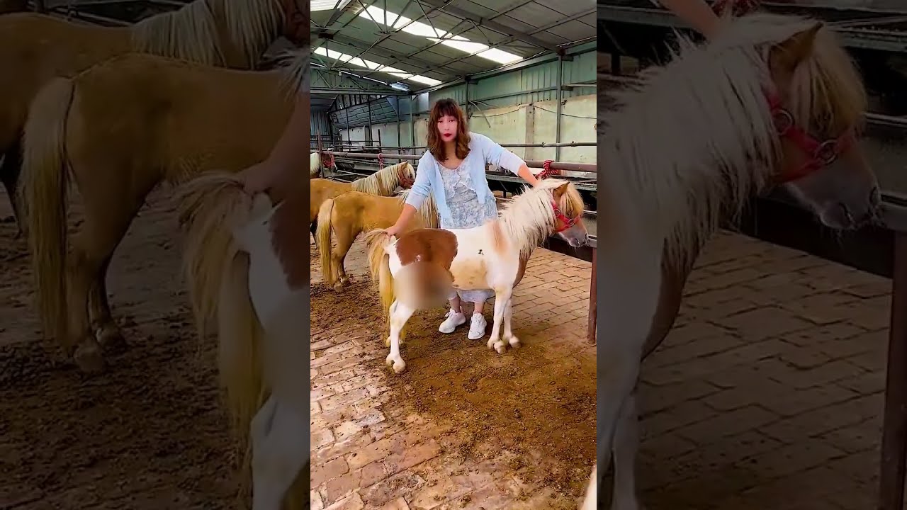 Raising Horses: Balancing Strength and Kindness