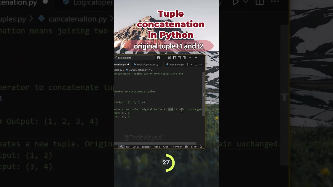 Tuple Concatenation in Python