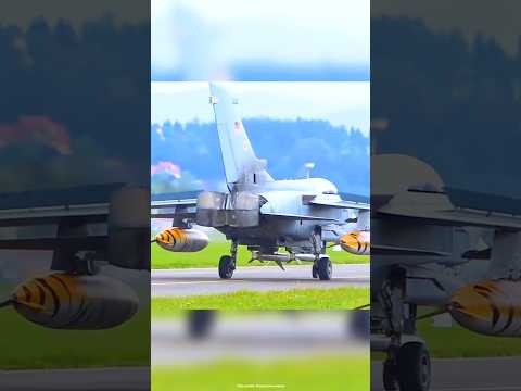 हवाई जहाज को कैसे रोका जाता है? ✈️ #facts