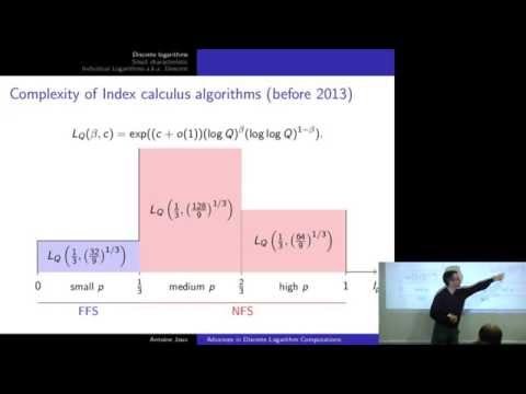 Advances in Discrete Logarithm Computations (Part 2)