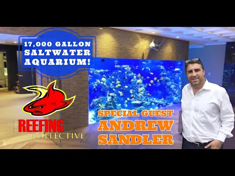 Tour a 17,000-Gallon Reef Aquarium 🐠