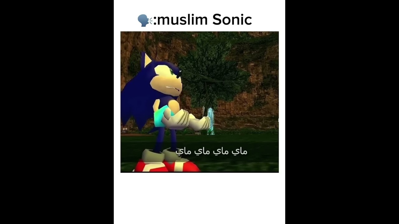 Muslim Sonic Memes for Ramadan 🎮