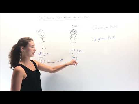 Chiffrement RSA: petite introduction