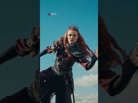 اللعب مع الذئب ينتهي بالدم 🐺