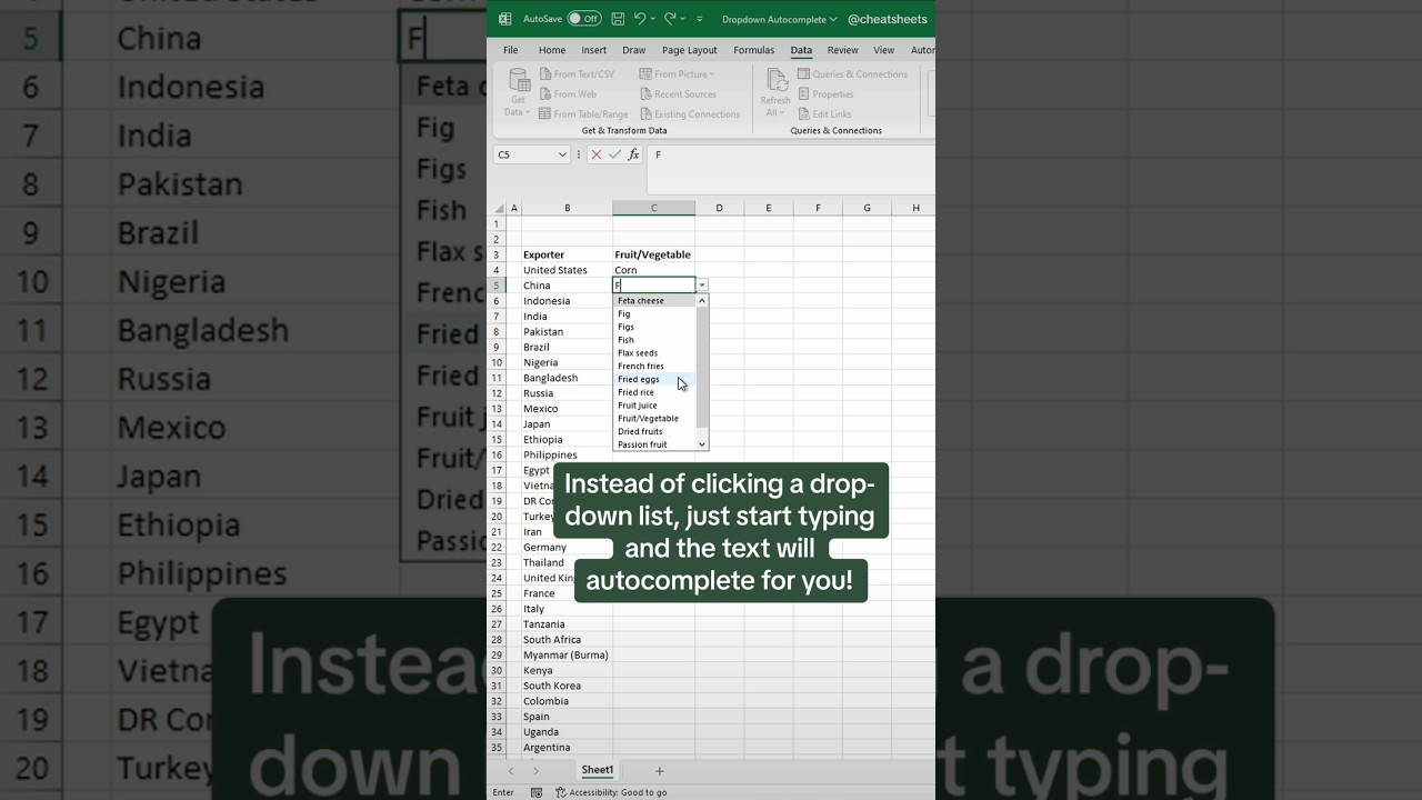 Excel Drop-downs & Data Skills in 1 Hour 📊