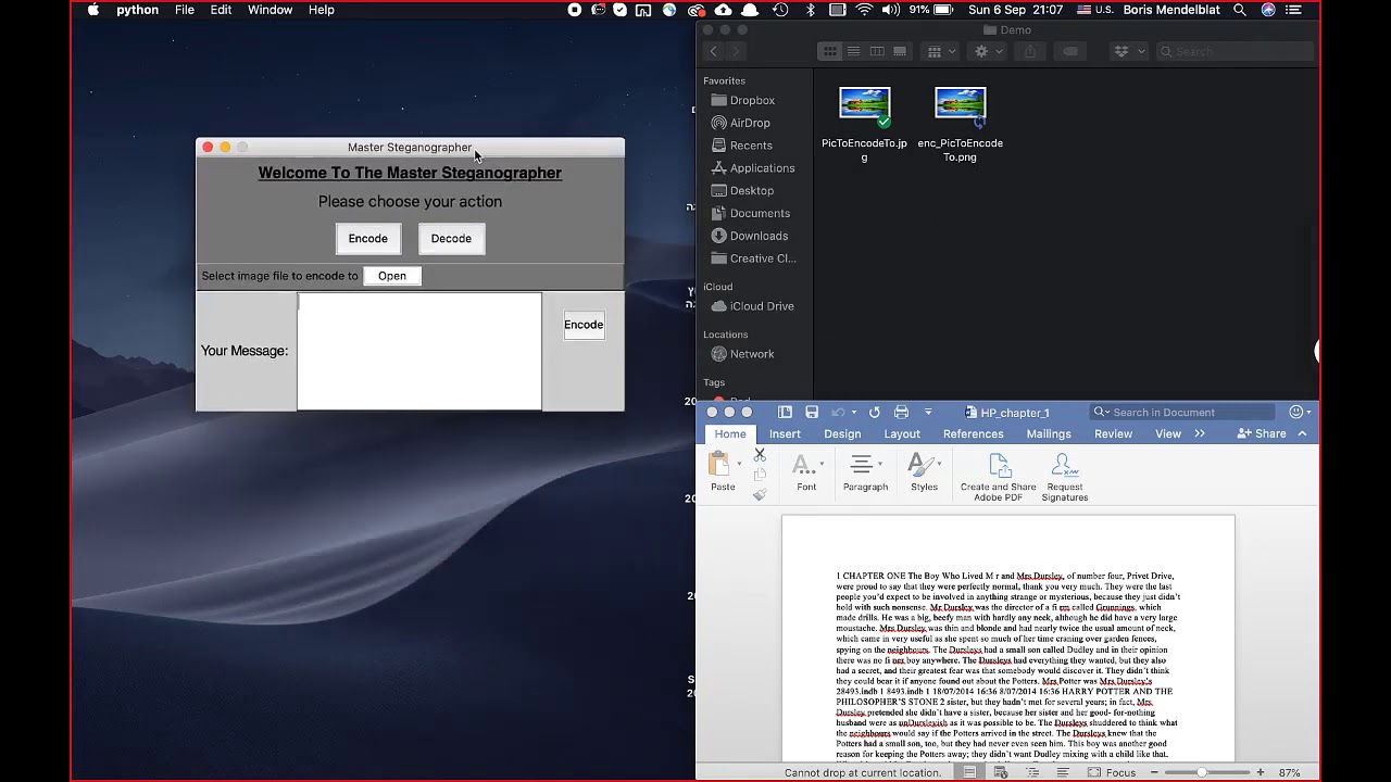 Advanced Python Steganography Tool for Hidden Data ๐