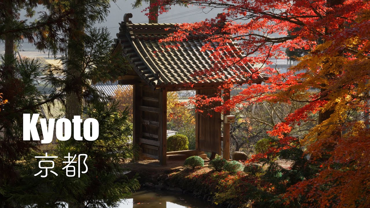 Autumn in Kyoto 2024 🍁 | Sony A7CII