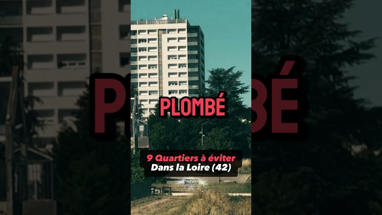 Les 9 Quartiers les Plus Dangereux de la Loire (42)