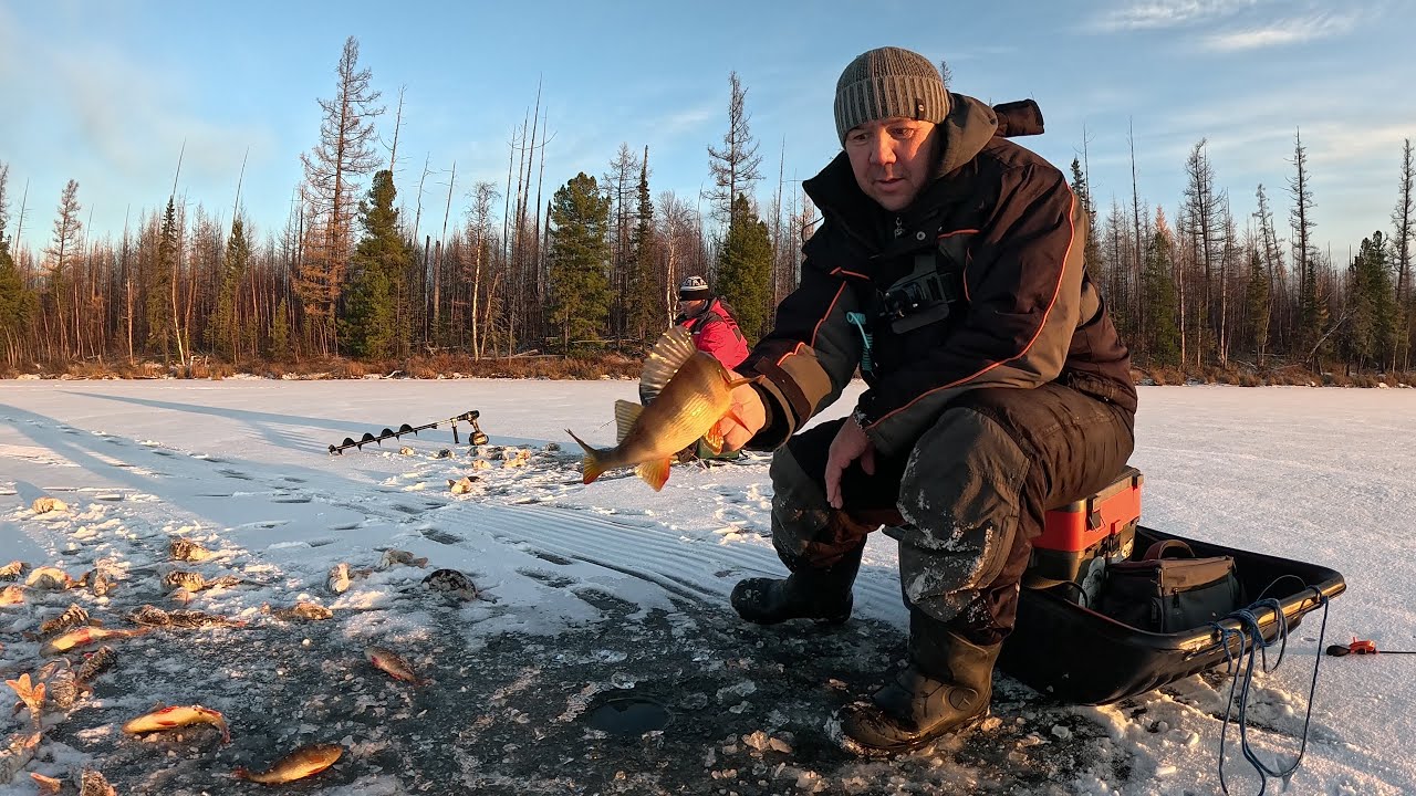 Первый день рыбалки: щука на жерлицы и окунь на мормышку 🎣