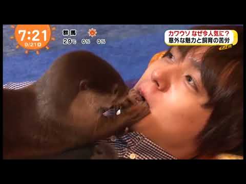 10秒で伊野尾担をだめにする　 Hey! Say! JUMP　伊野尾慧