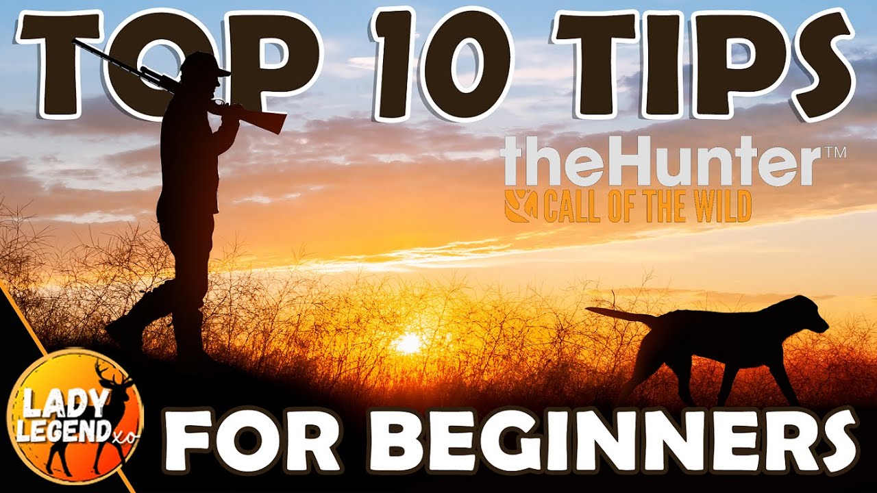 Top 10 Beginner Tips for Call of the Wild 2024/25 🎯