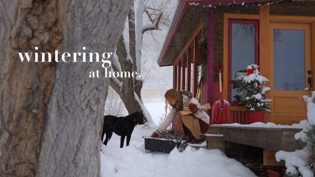 The Art of Quiet Living: Embrace Wintering ❄️