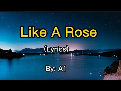 Like A Rose - A1 Lyrics 🌹