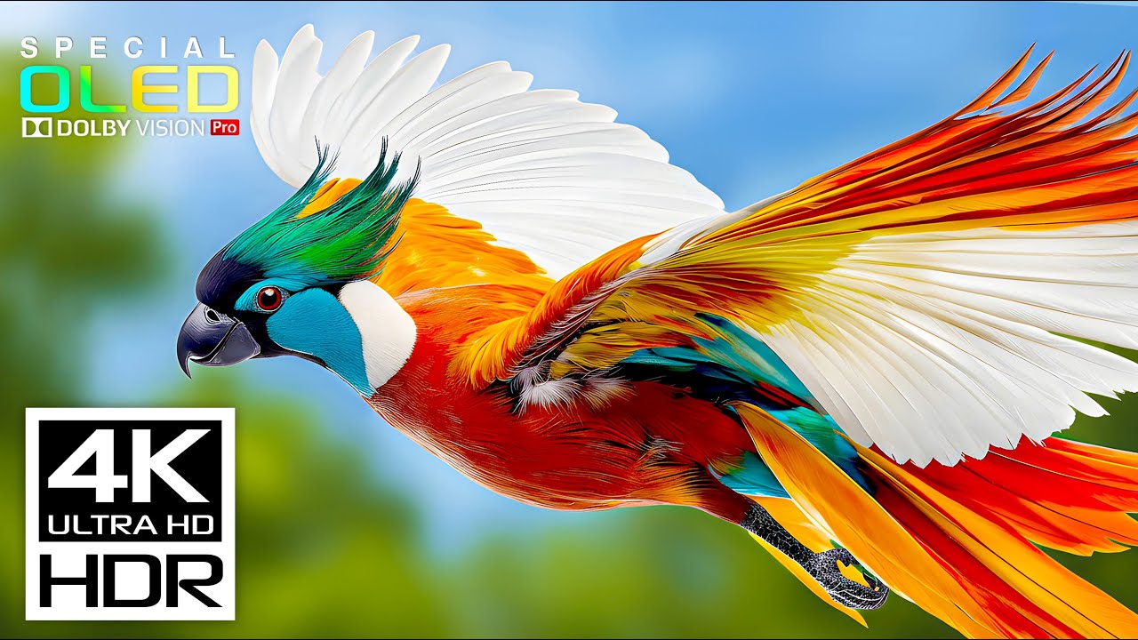 Ultimate 4K HDR Experience: Dolby Vision & 120fps Stunning Videos 🎥