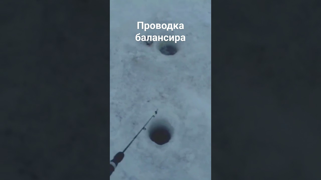 Проводка балансира зимой: советы и техника 🎣