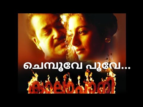 Chemboove Poove | Kaalapani | Mohanlal & Tabu 🎶