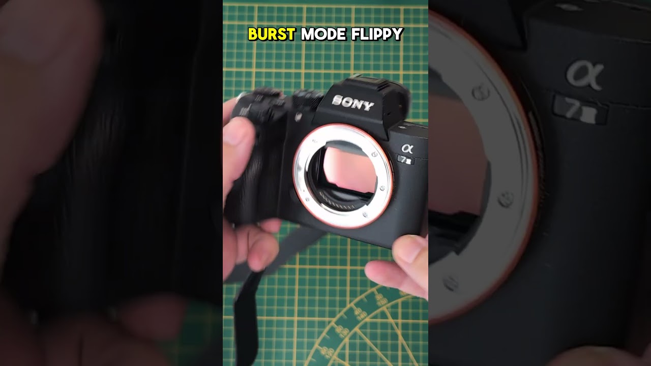 Top Budget Full-Frame Camera Under $1.5K 📸