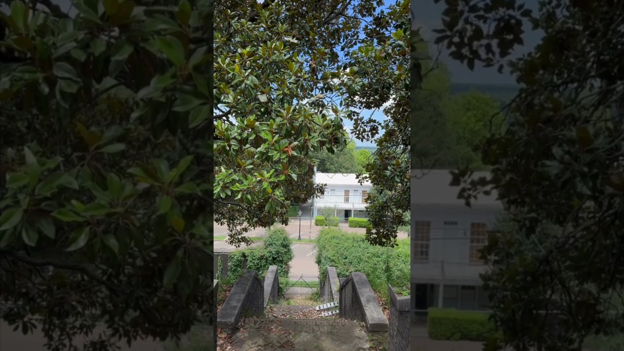 Secrets of the Vicksburg Battle 🇺🇸