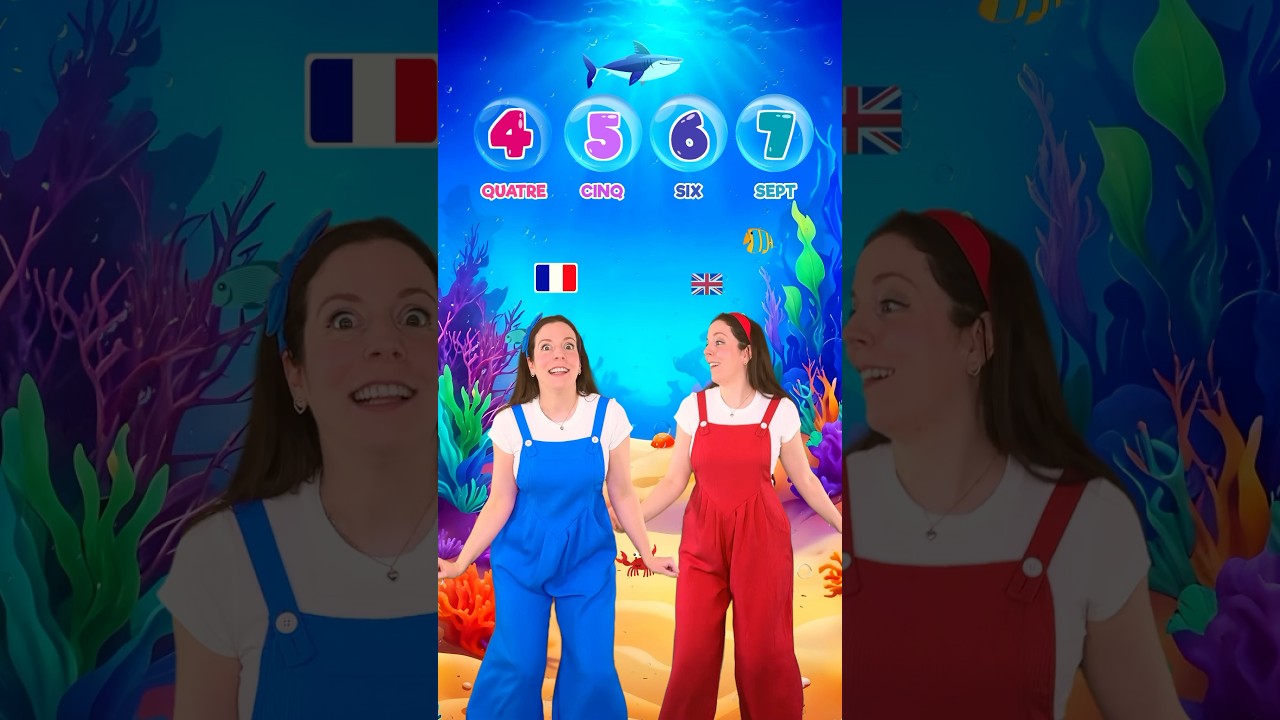 Compter jusqu'à 15 en français & anglais 🇫🇷🇬🇧