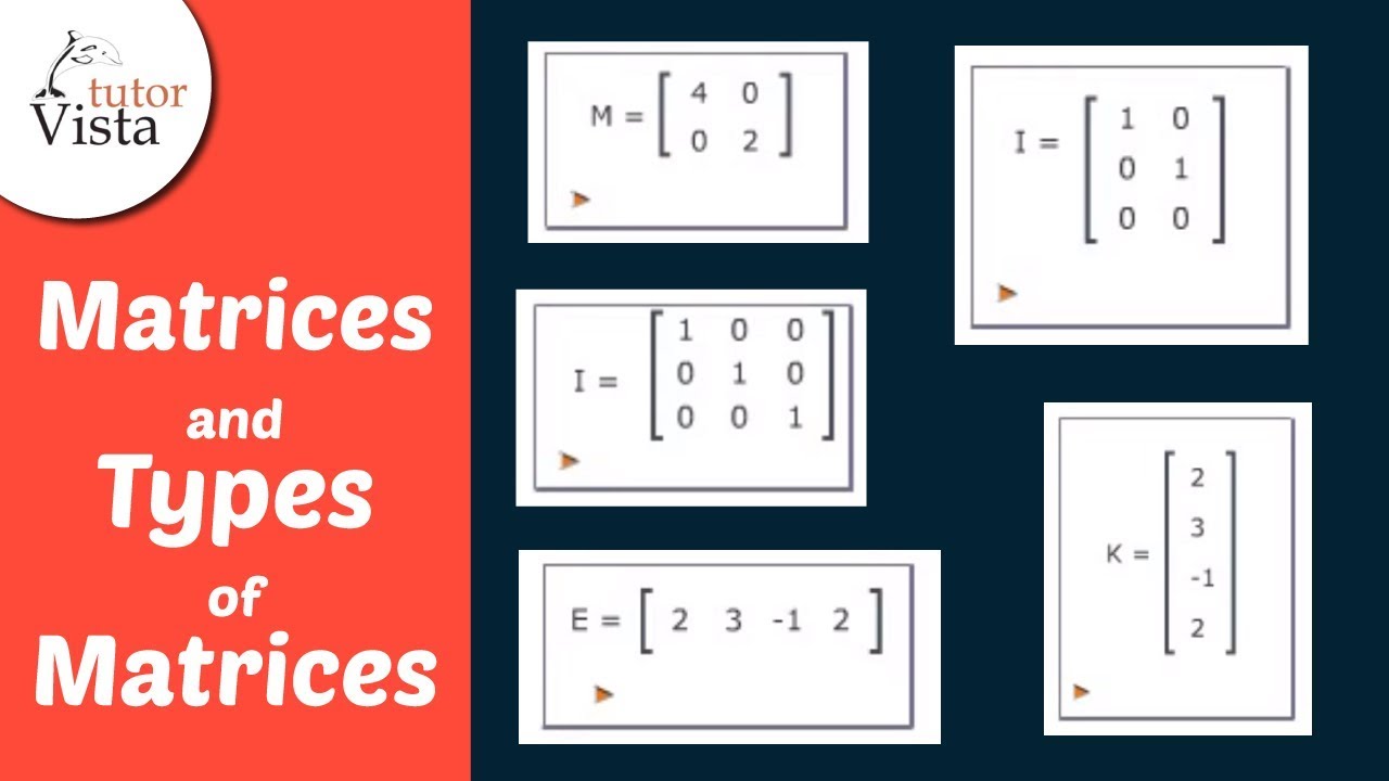 Matrices & Types: Definitions & Examples 📊